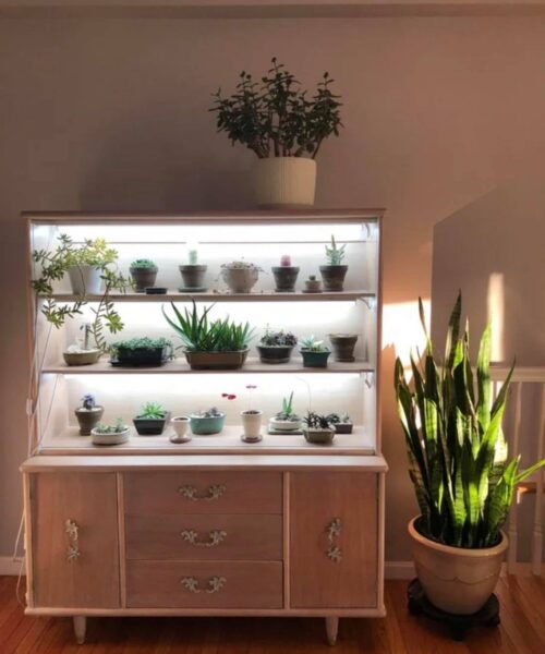 plant_hutch Kitchen & China Hutch Makeovers